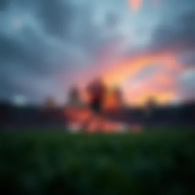 Magnificent 직접 베팅업체 계좌 이해하기 Magnificent 직접 베팅업체 계좌 이해하기