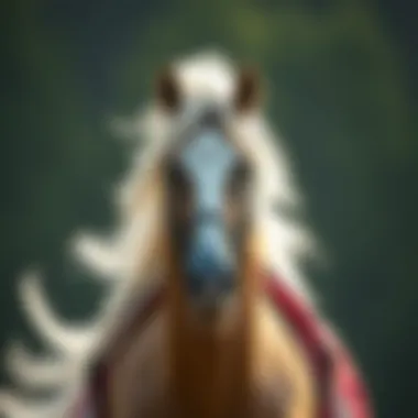 Magnificent 온라인 포커: 실전으로의 초대 Magnificent 온라인 포커: 실전으로의 초대