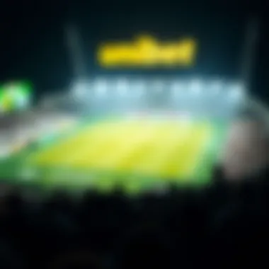 Magnificent Unibet 카지노에 대한 심층 분석 Magnificent Unibet 카지노에 대한 심층 분석