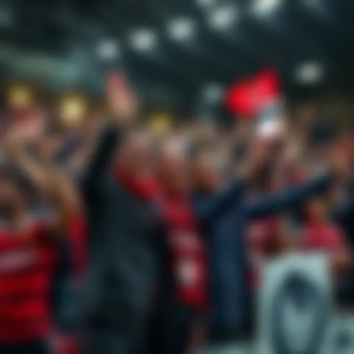 The Passionate Fanbase of Charlton Athletic FC Fans celebrating a goal during a Charlton Athletic FC match