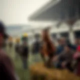 Historical overview of the Grand National