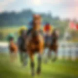 Historical evolution of horse racing