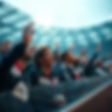 Passionate Fans at the Match Fans enjoying a preseason match