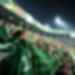 Shonan Bellmare's historic stadium filled with passionate fans