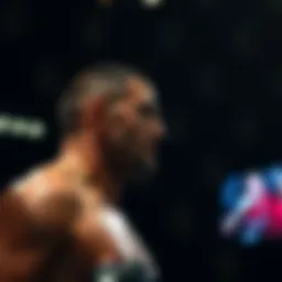 UFC 배당률 분석 및 활용 전략 Introduction